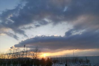 邻居同学小菲作文600字