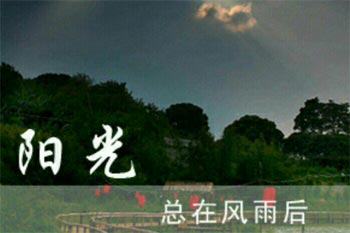 阳光总在风雨后作文400字