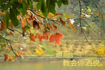 ����������������700��