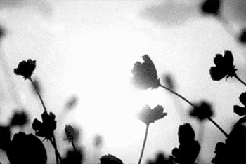 ��������200��