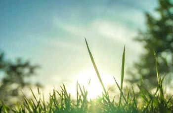 ������������1000��