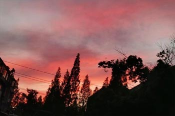 �ӿڷ�������1000��