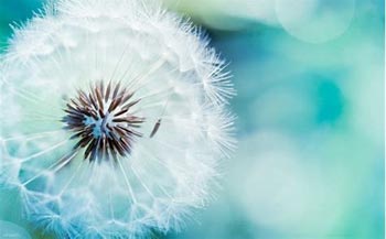 ���Ǯ����850��