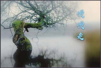 ����������150��