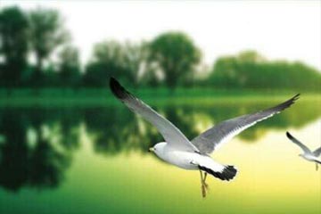 ��һ�����Ѹ��Լ�����1000��