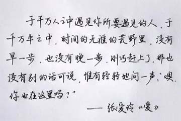 张爱玲:“悲凉之雾,遍披华林”作文1500字