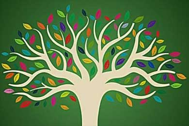 The confession of a small tree С�����������200��