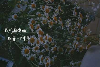 ����ʮ�������������650��