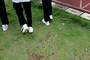 �ҿ��������ݡ�����������700��
