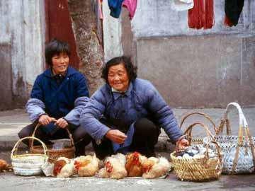 一组1982年的杭州老照片